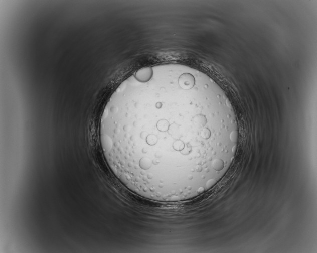 X0000098140418200804171124