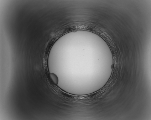 X0000098140419200804171124