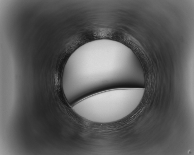 X0000098140420200804171124