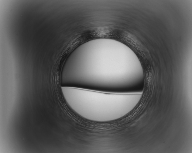 X0000098140421200804171124