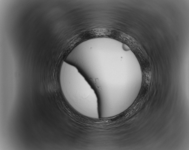 X0000098140422200804171124
