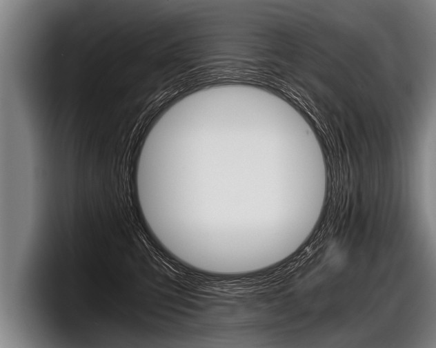 X0000098140423200804171124