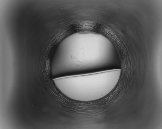 X0000098140425200804171124