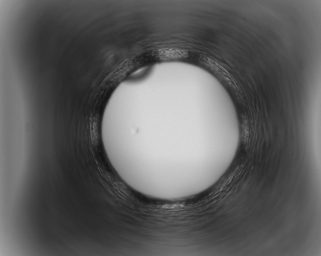 X0000098140426200804171124
