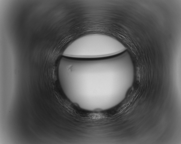 X0000098140428200804171124