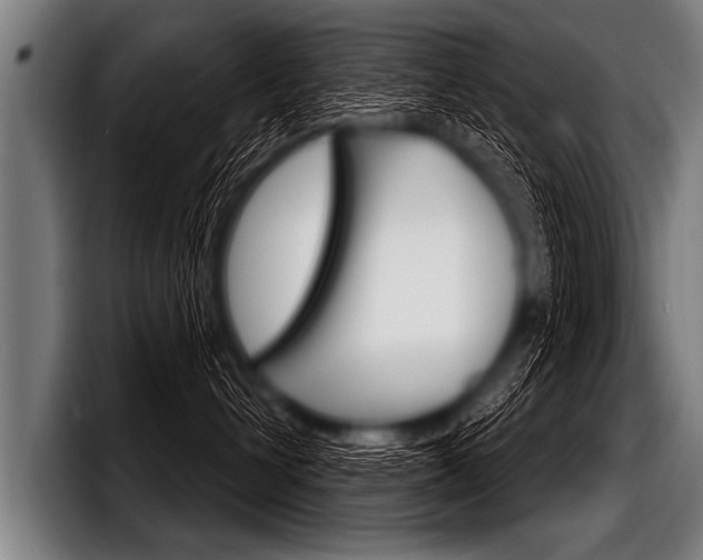 X0000098140432200804171124