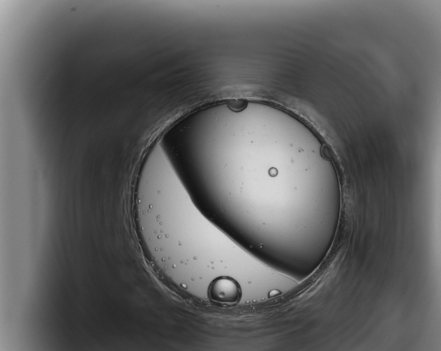 X0000098140433200804171123