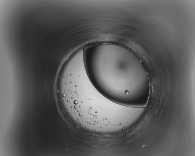 X0000098140436200804171124