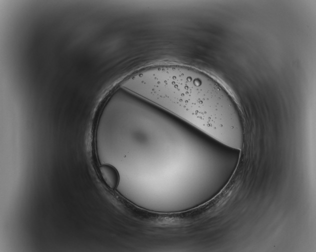 X0000098140437200804171124