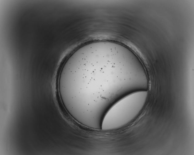 X0000098140438200804171124