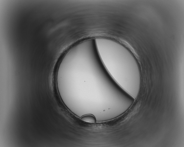 X0000098140439200804171124