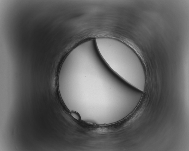 X0000098140441200804171124