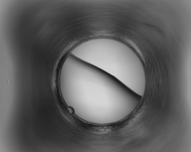 X0000098140443200804171124