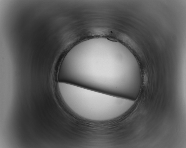 X0000098140444200804171124