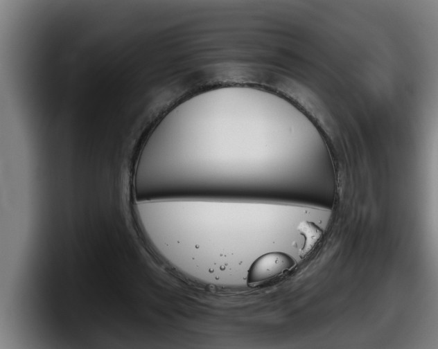 X0000098140445200804171124