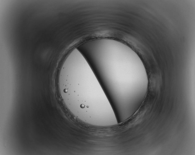 X0000098140446200804171124