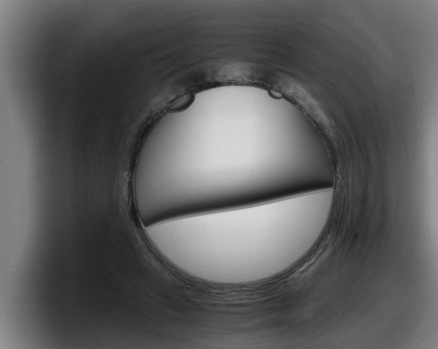 X0000098140449200804171124