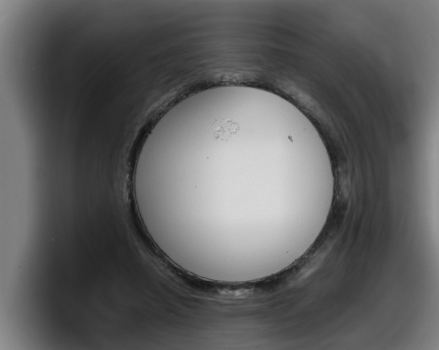 X0000098140450200804171124