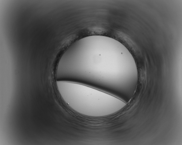 X0000098140451200804171124