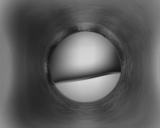 X0000098140452200804171124