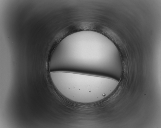 X0000098140453200804171124