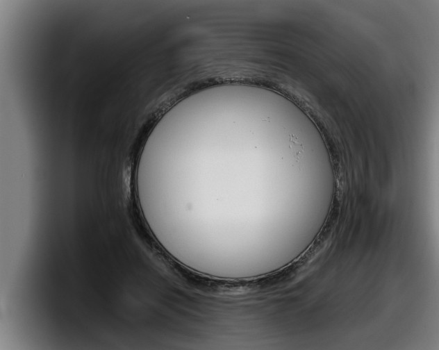 X0000098140454200804171124