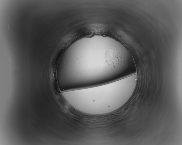 X0000098140456200804171124