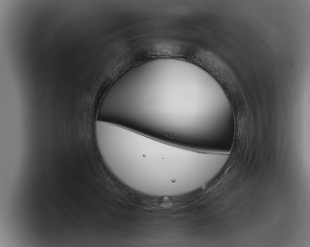 X0000098140457200804171124
