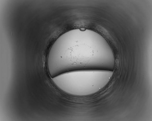 X0000098140458200804171124