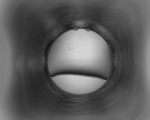 X0000098140459200804171124