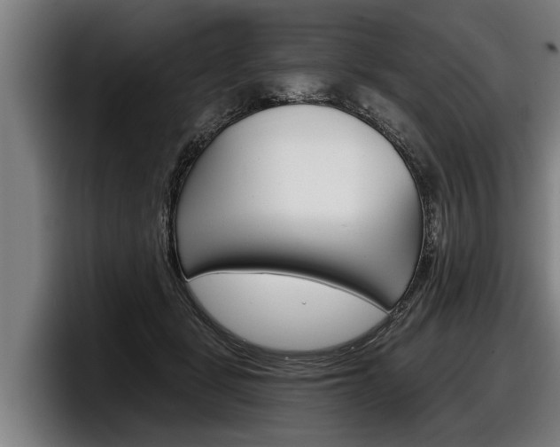 X0000098140461200804171124