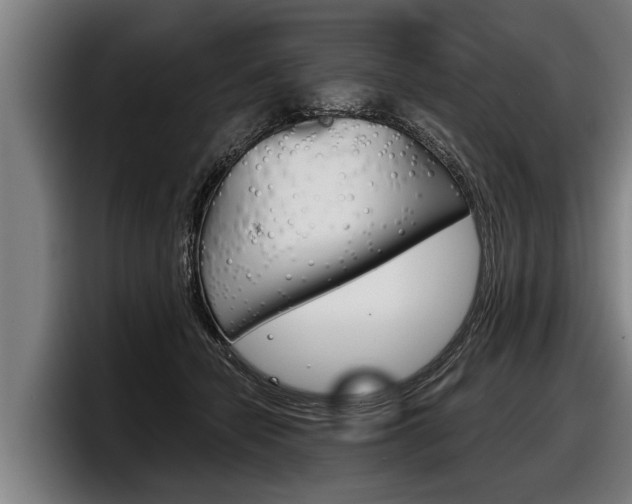 X0000098140462200804171124