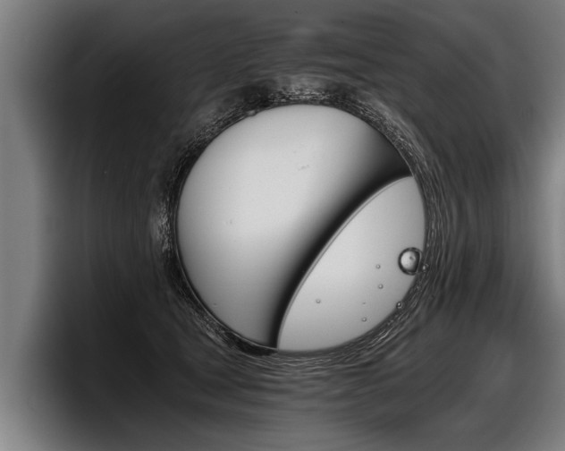 X0000098140465200804171124