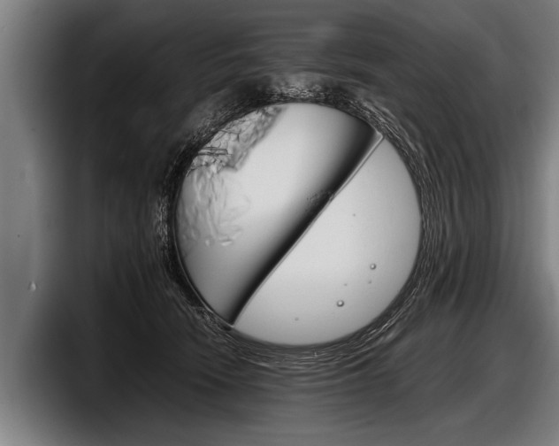 X0000098140466200804171124