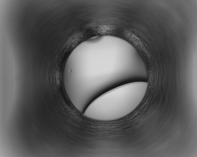 X0000098140470200804171124