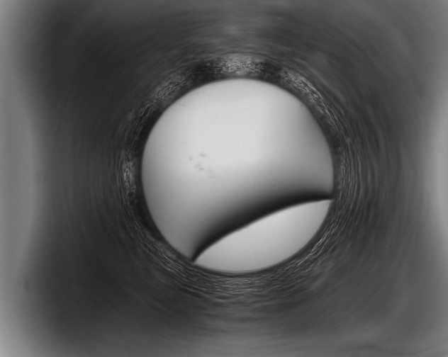 X0000098140473200804171124
