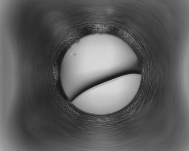 X0000098140474200804171124