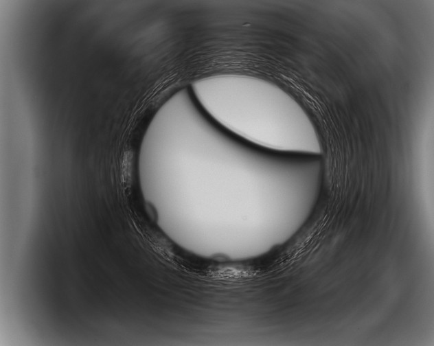 X0000098140475200804171124