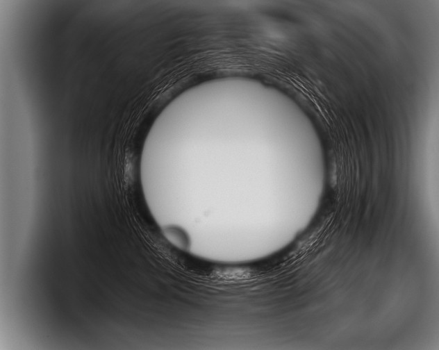 X0000098140476200804171124