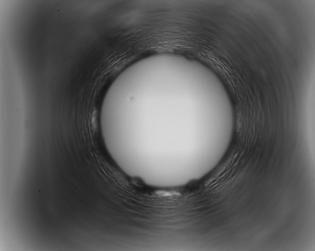 X0000098140477200804171124