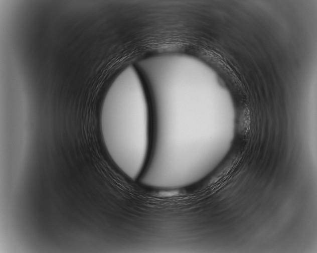 X0000098140478200804171124