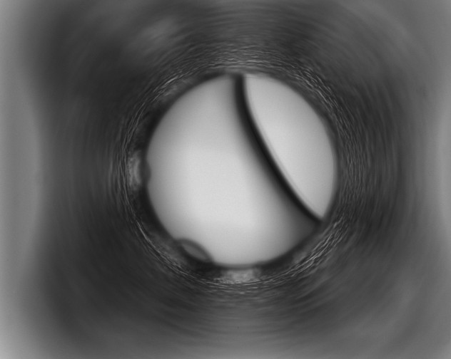 X0000098140479200804171124