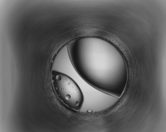X0000098140481200804171123