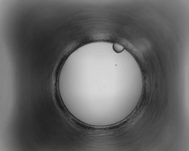 X0000098140490200804171123