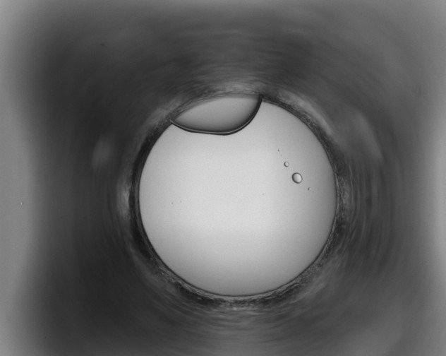 X0000098140491200804171123