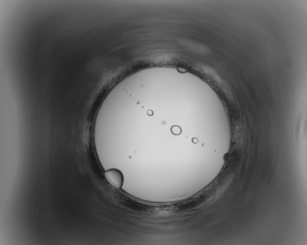 X0000098140495200804171123
