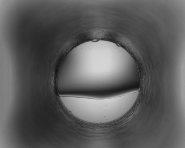 X0000098140497200804171123