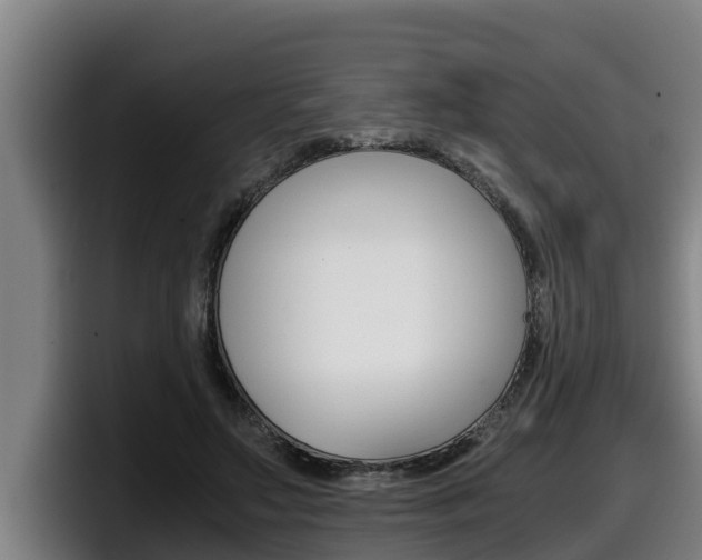 X0000098140499200804171123