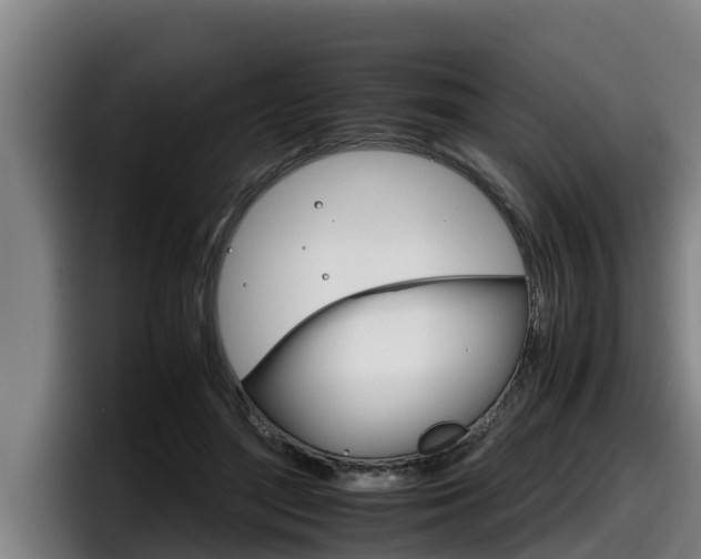 X0000098140500200804171123
