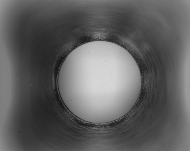X0000098140502200804171123